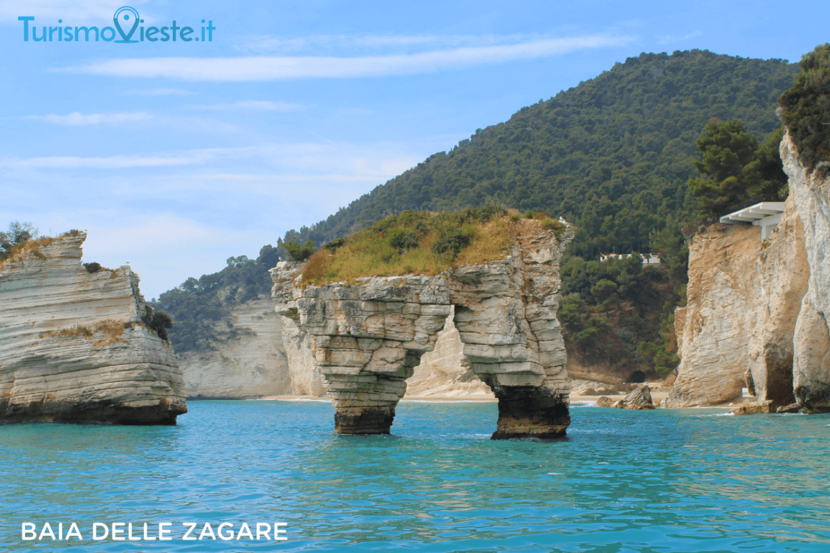 zagare
